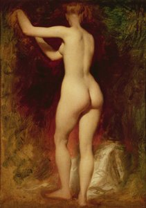 Nudo femminile di schiena